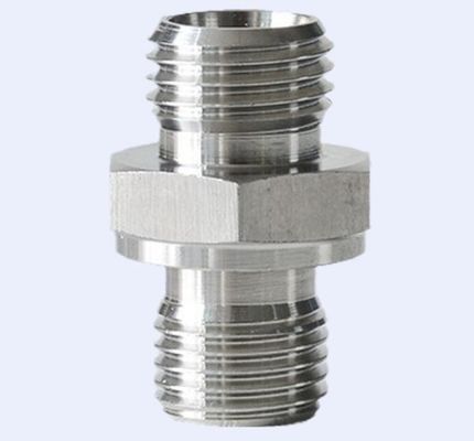1CM-WD 1DM-WD NPT masculino para adaptador de fio Bsp para encaixe de tubos de aço inoxidável 304