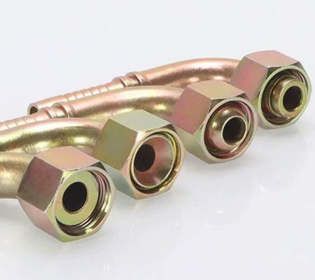 Metric Female 24° Cone O-Ring L.T. Acero inoxidável